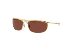 Ray-Ban RB3119M-001/C5